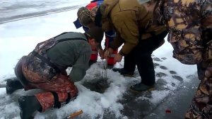 ОГРОМНАЯ ЩУКА БОЛЬШАЯ ЩУКА МОНСТР САМАЯ КРУПНАЯ ЩУКА ЗИМНЯЯ РЫБАЛКА 2017 2018 ВИДЕО КАК ПОЙМАТЬ ЩУК