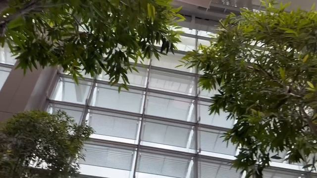 INSIDE the World's Best Airport: Take a VIP Tour of Singapore's Changi Airport Discover Its Secret смотреть онлайн