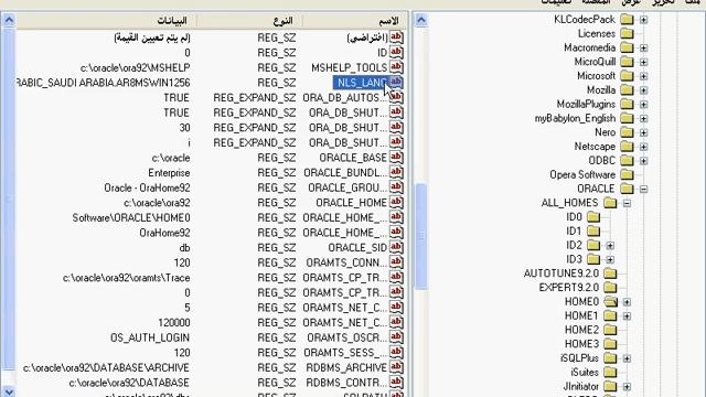 0 - Change ORACLE Language (NLS_LANG) - Arabic Support смотреть онлайн