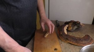 Полезные Свойства Гриба Трутовика Окаймленного .