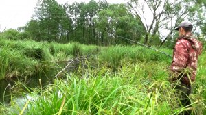 Странная рыбалка на бобровой запруде, но тут рыбы куча