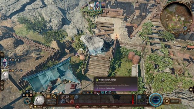 THE OWLBEAR FLIES - BG3 Tactician Druid / Halsin / Jaheira Build Guide смотреть онлайн