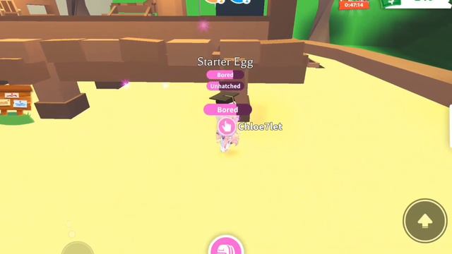 Впервые играю в адопт ми! (Подскажи как вернуть котенка🥺) смотреть онлайн