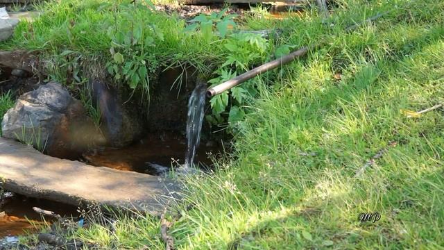 Енисейск-Епишино-Еркалово-Подтесово смотреть онлайн