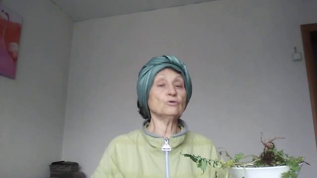 ГРИБОК НОГТЕЙ/ Мои советы смотреть онлайн