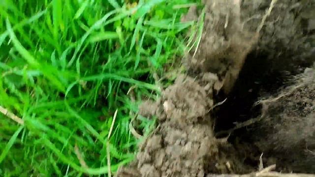 КОП НА ДЕРЕВЕНСКОМ ПЛЯЖЕ С МЕТАЛЛОИСКАТЕЛЕМ!!!ДЕНЬГИ ПОД НОГАМИ!!! РУБЛИ В КАРМАНЕ!!! смотреть онлайн