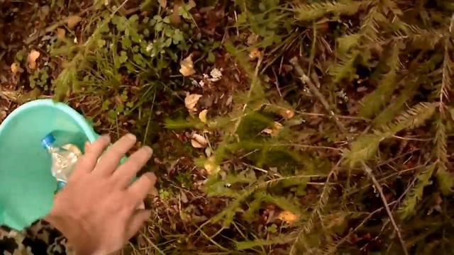 Вечерний отдых в лесу. смотреть онлайн