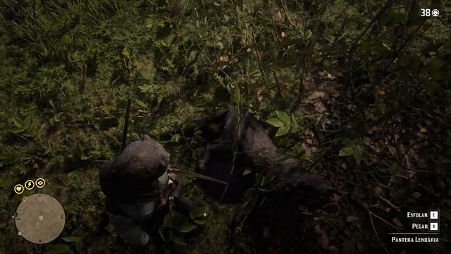 Red Dead Redemption 2 - PANTERA LENDÁRIA
