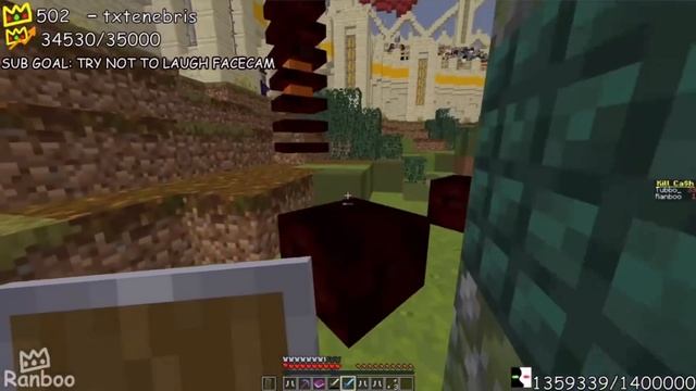 Ranboo Plays Minecraft Puzzle Map With Tubbo! (Diversity) смотреть онлайн