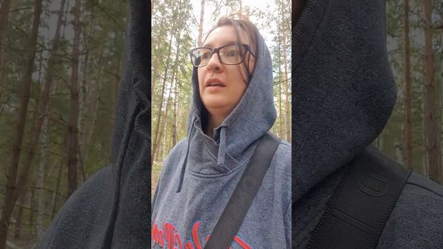 Едем добывать еду! Собирайте только правильные грибы!