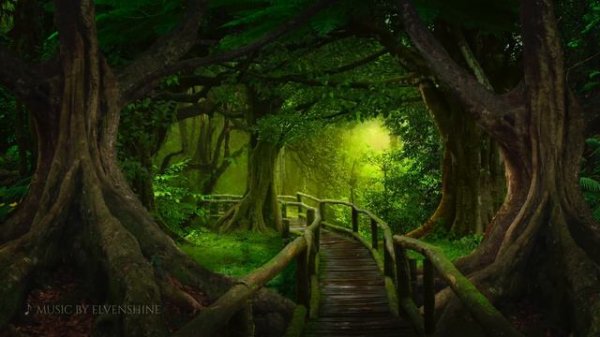 Enchanted Forest Music ༄ Relaxing Magical Forest Music 🌳 The Unfading Forest