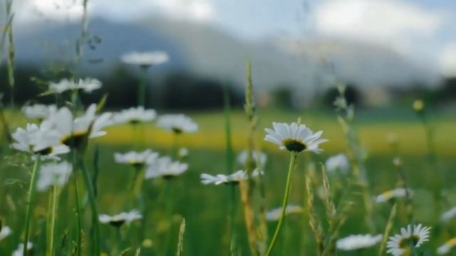 8 Марта Евгений Коновалов смотреть онлайн