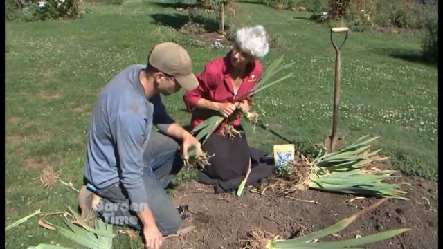 Planting Iris смотреть онлайн