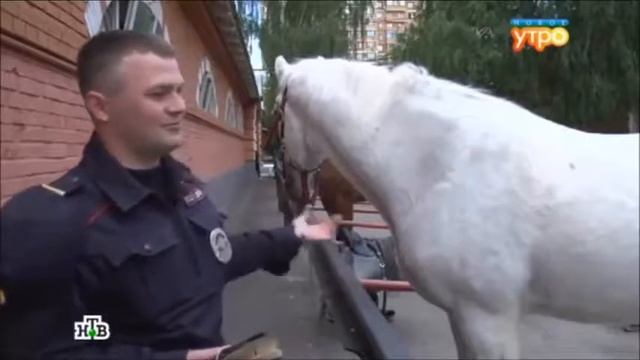 Упражнения с гантелями от Ирины Турчинской смотреть онлайн