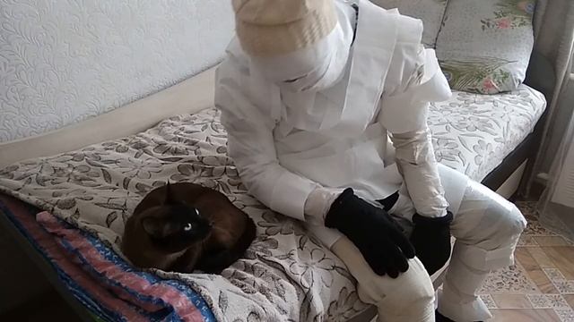Мумия из туалетной бумаги Реакция кота на мумию Как сделать мумию из бумаги Канал про животных смотреть онлайн