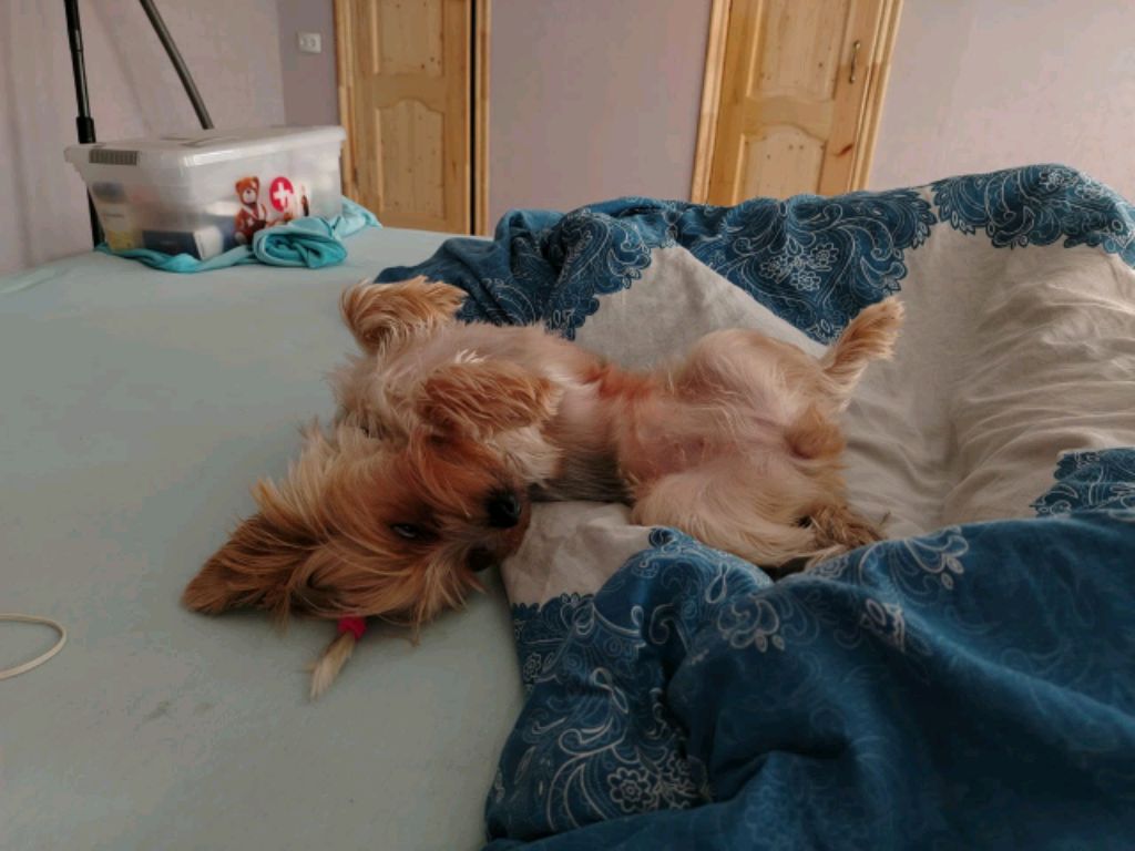 Реборн беби смотреть онлайн