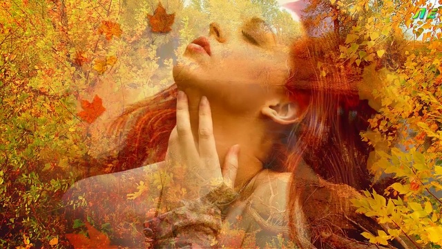 Осенняя сказка