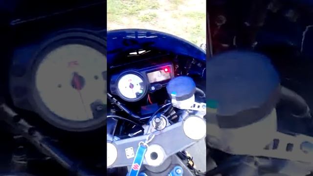 Таинственный мир Suzuki