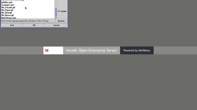 Netware 6.5 SP4 (x86) running on VirtualBox смотреть онлайн