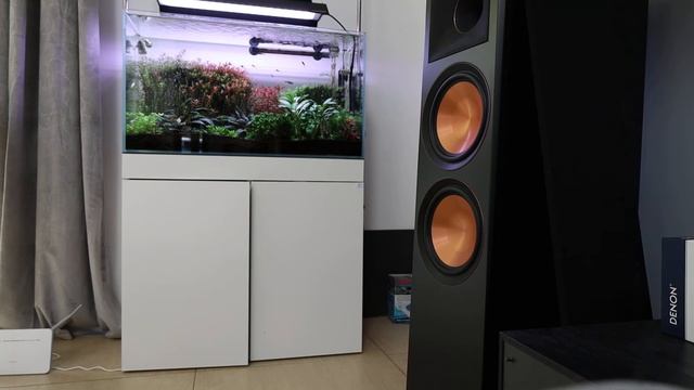 Klipsch RP 8000F + Onkyo TX-8390 + Dire Straits смотреть онлайн