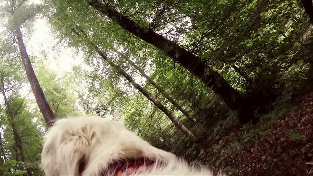 Портативная мойка Karcher OC 3 - чистота всегда с собой смотреть онлайн