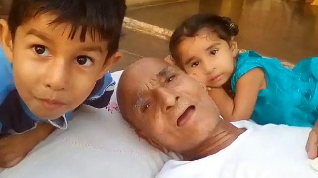 Mape смотреть онлайн