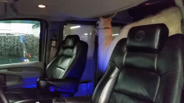 Необычный клиент