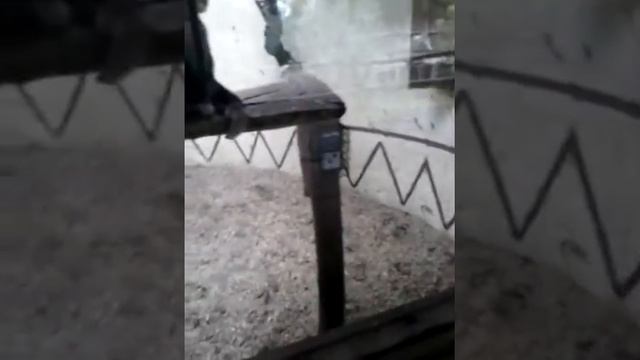 Гибоны дерутся смотреть онлайн