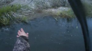 рыбалка сетями ловим леща