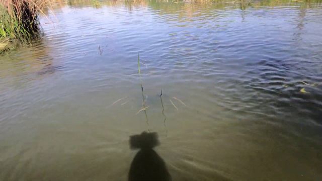 Рыболовная сеть-дорожка!!! Эта снасть не оставит вас без рыбы!!