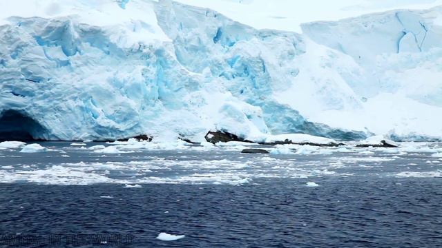 Antarctica 4K - Relaxing Scenery And Animals With Relaxing Music