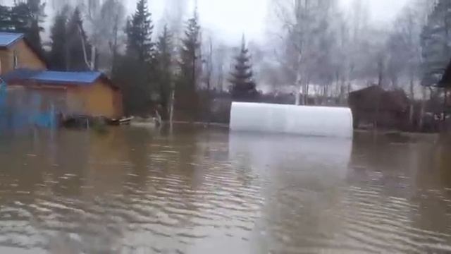 Паводок в Нижнем Тагиле продолжается(1) смотреть онлайн