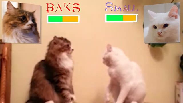 Котобой смотреть онлайн