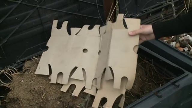 Kompostavimas, kaip kompostuoti / Apzeldinimo kursai Geltonas Karutis смотреть онлайн