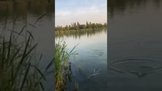 Поплавок и червячок смотреть онлайн