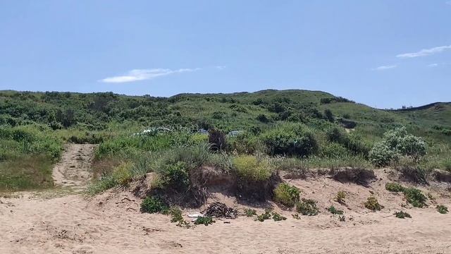Дикий пляж Азовского моря в станице Голубицкая ?️ смотреть онлайн