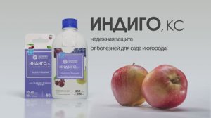 Индиго, КС – для борьбы с комплексом болезней на плодовых и виноградниках