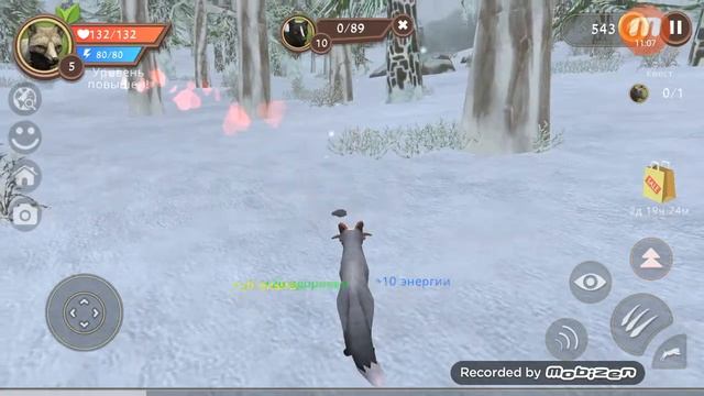 Покупаем лису!!!Обзор на лису!/#4WildCtaft./DaShATeReHoVa. смотреть онлайн