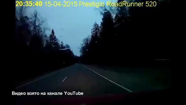 Дикие животные на дороге: советы специалиста смотреть онлайн