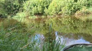 Болонская ловля. Ловля на болонку. Cralusso Surf. Ловля подлещика. Рыбалка на малых реках..