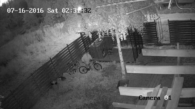 Камера 16-07-16 2:30