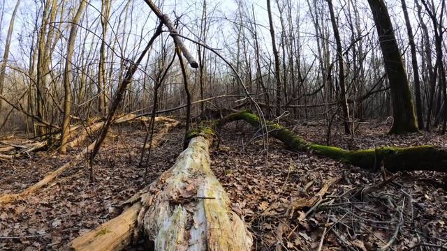 С МАЧЕХОЙ НА РЫБАЛКУ. Интересные истории из жизни. Рассказы о любви. Теща Сладкая смотреть онлайн