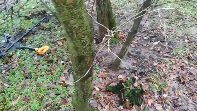 Коп в лесу с металлоискателем Квазар АРМ с катушкой Sharpshooter Custom DD 140х240 мм 14 KHz