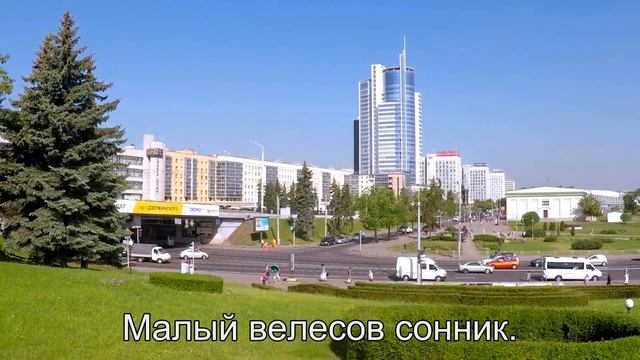 К чему снится Драма? Толкование сна по сонникам Ванги и Фрейда смотреть онлайн