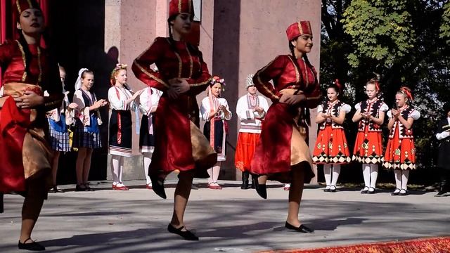 DSC 0674 смотреть онлайн