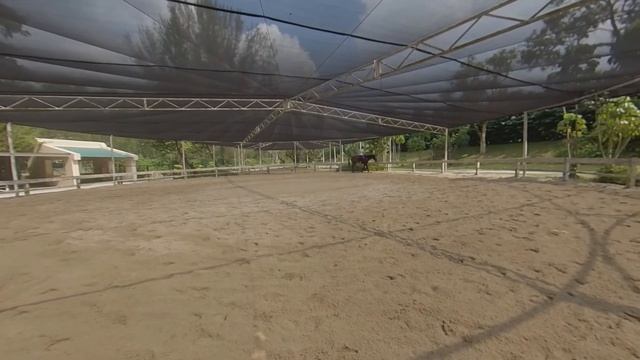 Horse riding day 7 - Rising trot only!! The reason I went for another stable смотреть онлайн