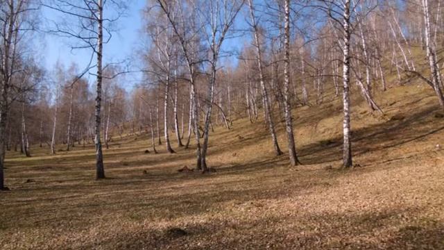 Лаклы.Башкортостан смотреть онлайн
