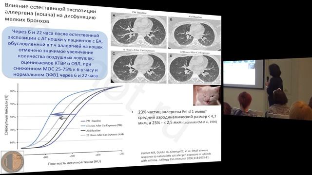 Видеолекция Заседания Высшей Школы Терапии МГНОТ 17 февраля 2014 г. смотреть онлайн