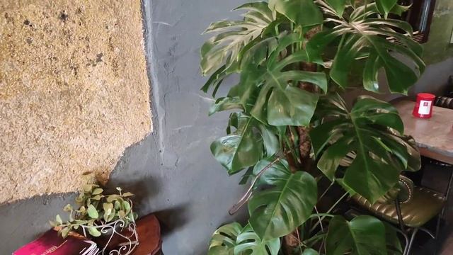 ❣️Интересные дизайнерские идеи/рынок и бутик/товар и цены/ смотреть онлайн