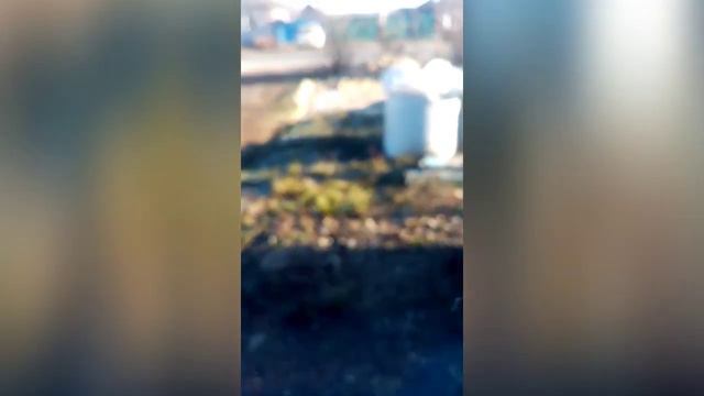 Кавер один дома Дима евтушенко (говорящий кот беляш) смотреть онлайн